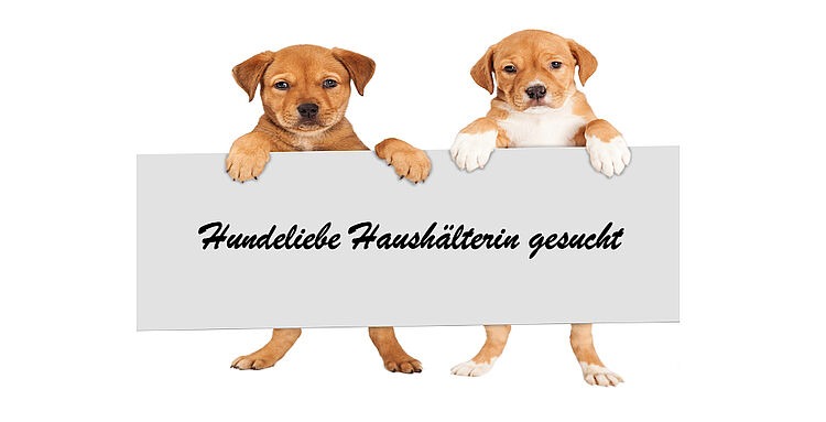 hundeliebe Haushälterin gesucht